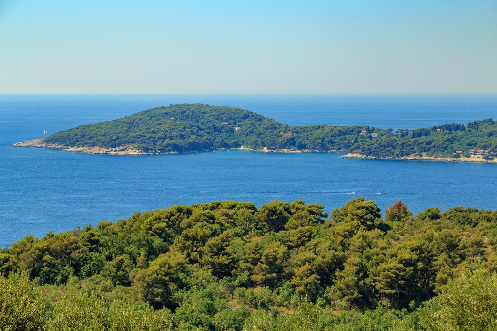 Hedera Estate, Villa Hedera VII 자톤 외부 사진